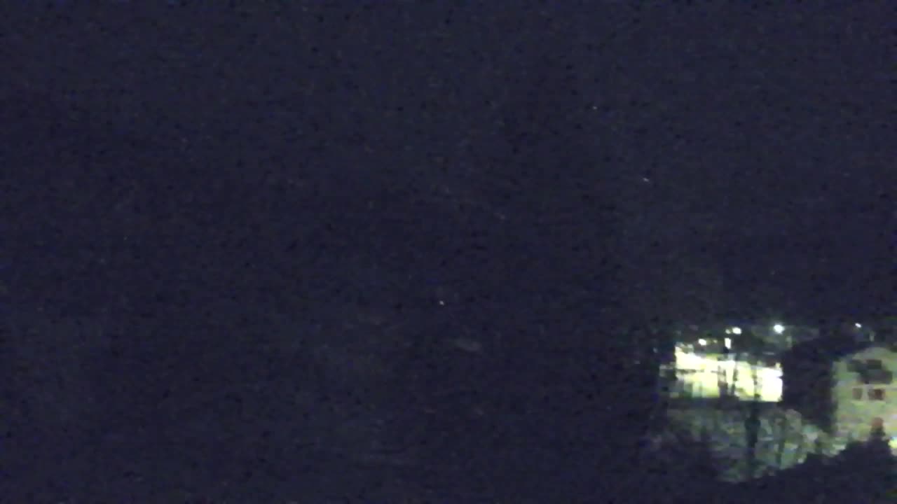 Webcam Loqua / Lokve – La bellezza della selva di Tarnova