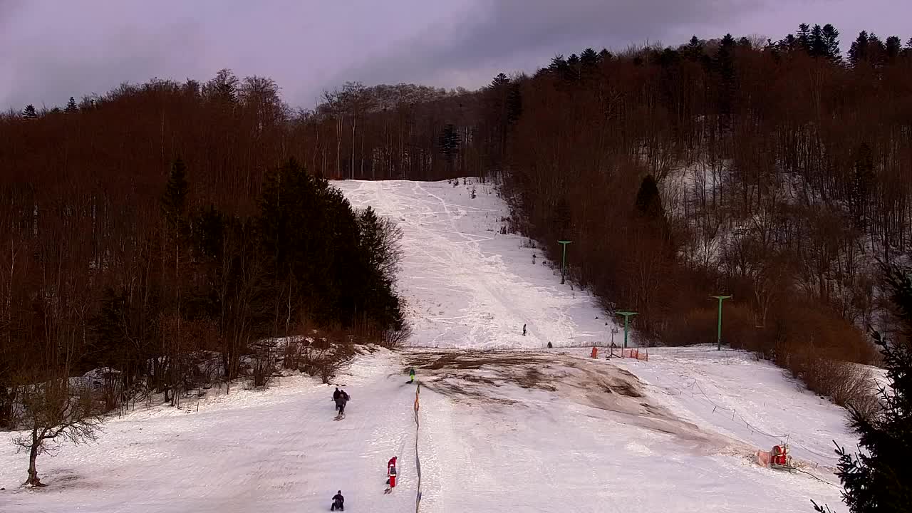 Webcam Lokve – La beauté de la forêt de Trnovo