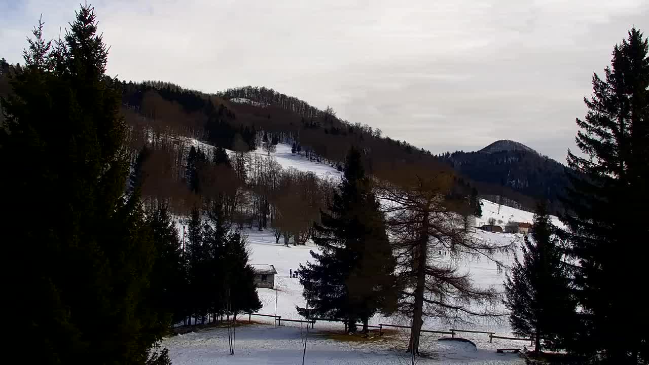 Webcam Lokve – La beauté de la forêt de Trnovo