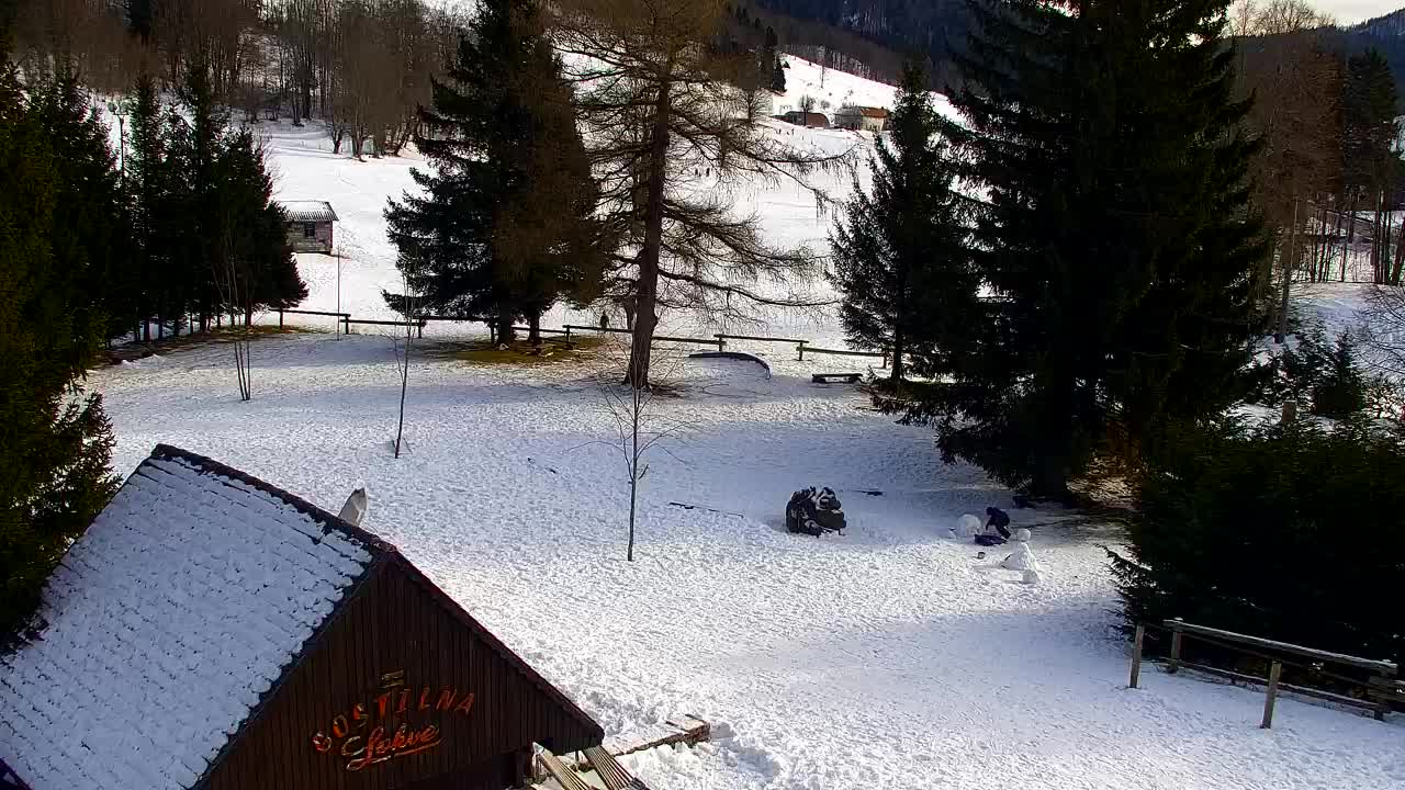 Webcam Lokve – La beauté de la forêt de Trnovo