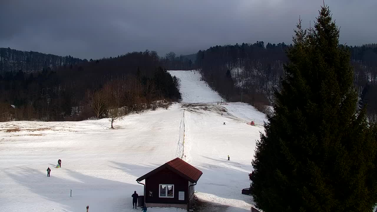 Webcam Lokve – La beauté de la forêt de Trnovo