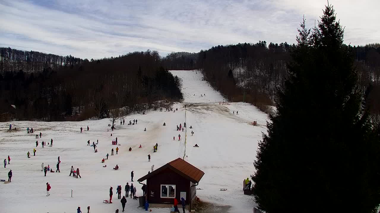 Camera en vivo Lokve – La belleza del bosque de Trnovo