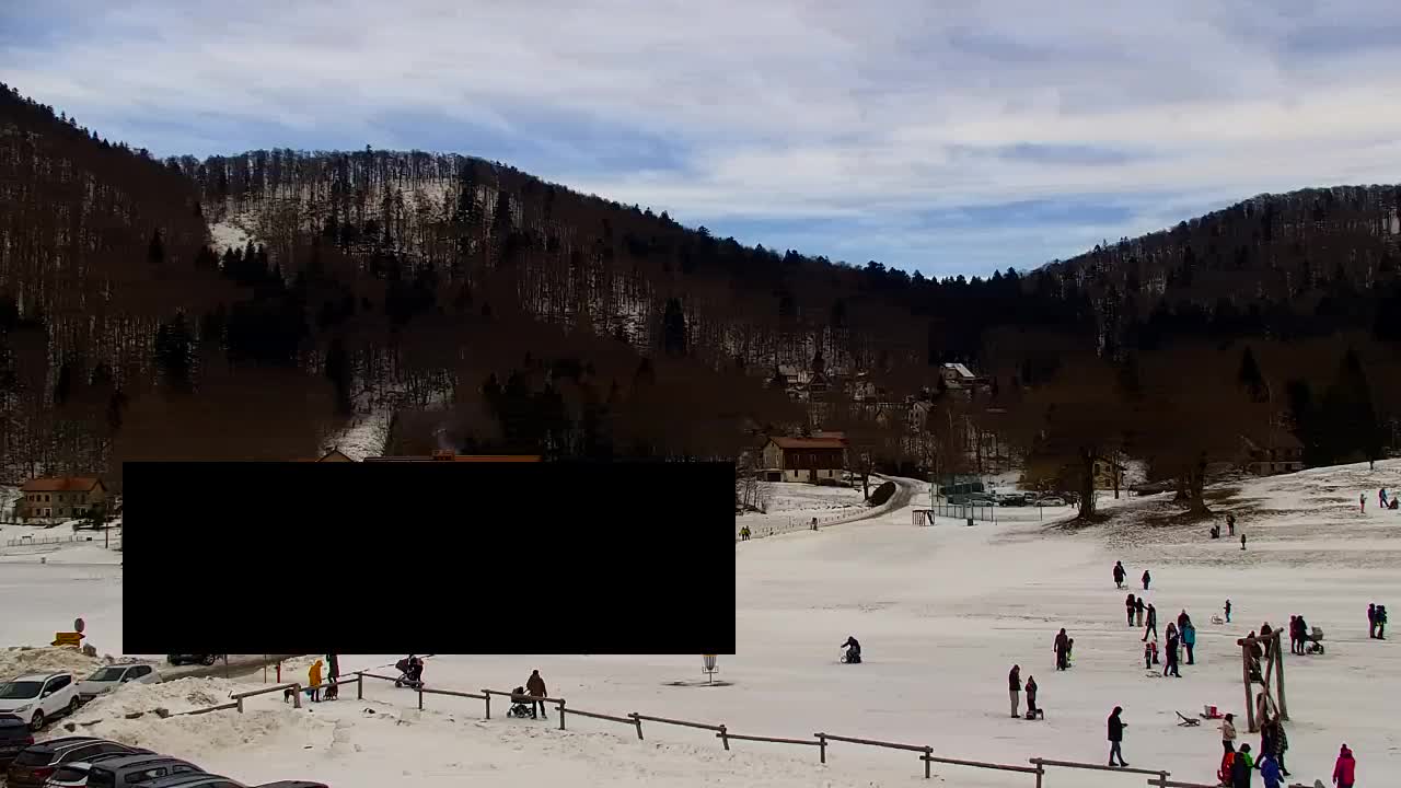 Webcam Loqua / Lokve – La bellezza della selva di Tarnova
