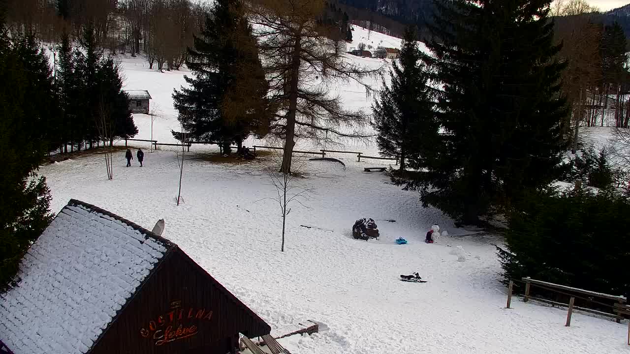 Webcam Loqua / Lokve – La bellezza della selva di Tarnova