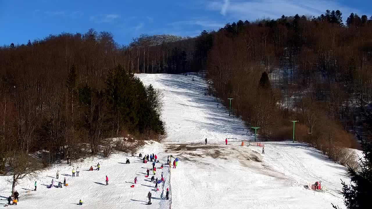 Webcam Lokve – La beauté de la forêt de Trnovo