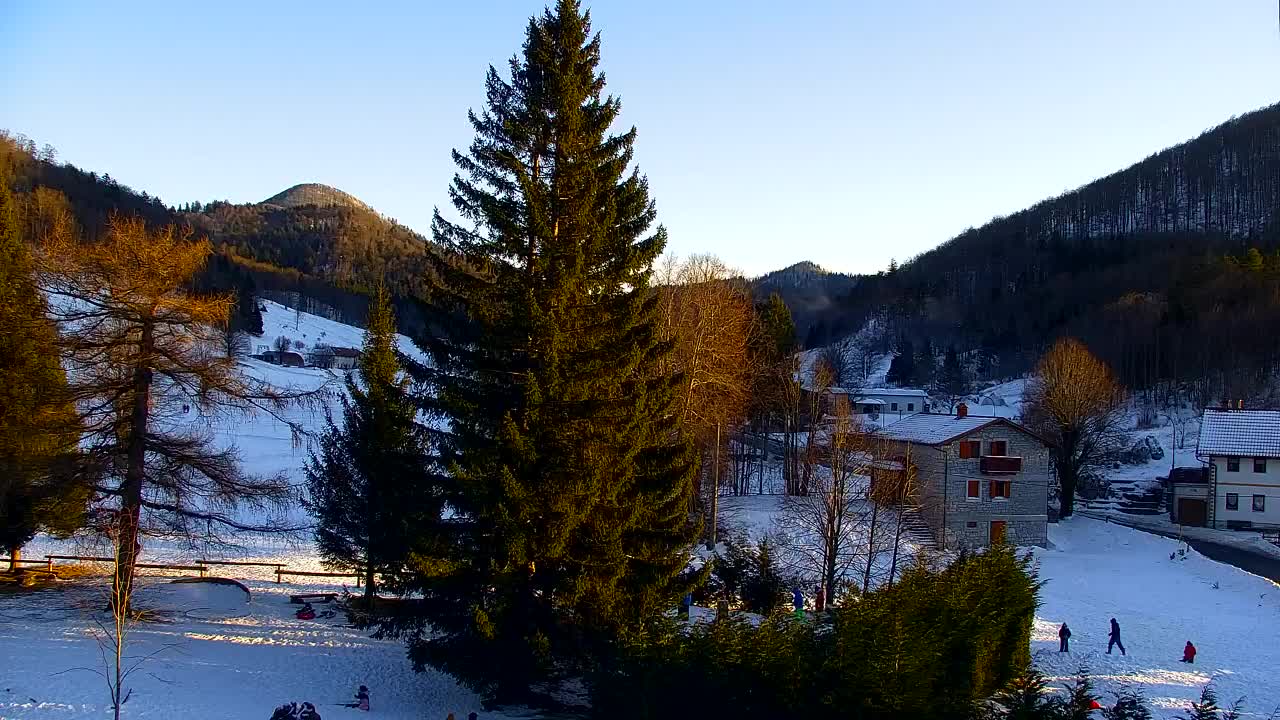 Webcam Loqua / Lokve – La bellezza della selva di Tarnova