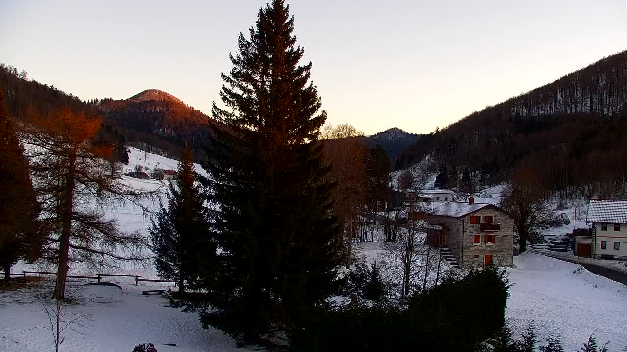 Webcam Loqua / Lokve – La bellezza della selva di Tarnova