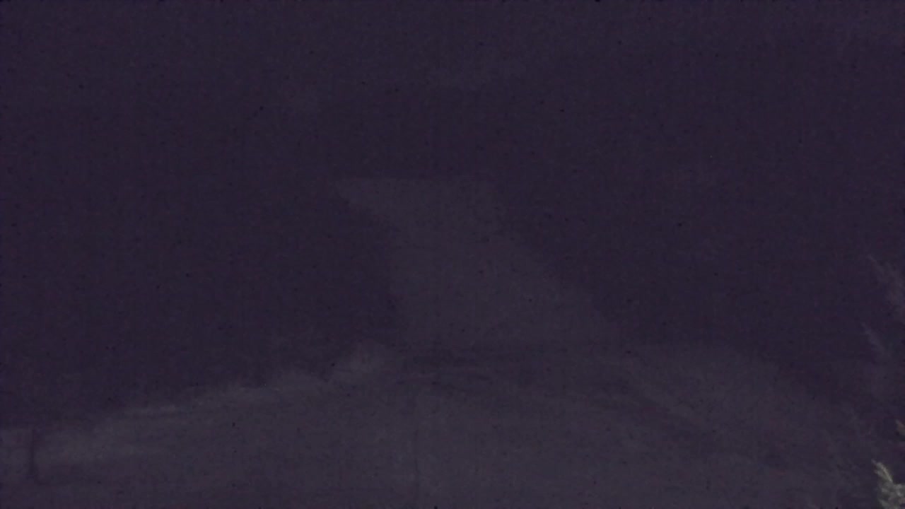 Webcam Loqua / Lokve – La bellezza della selva di Tarnova