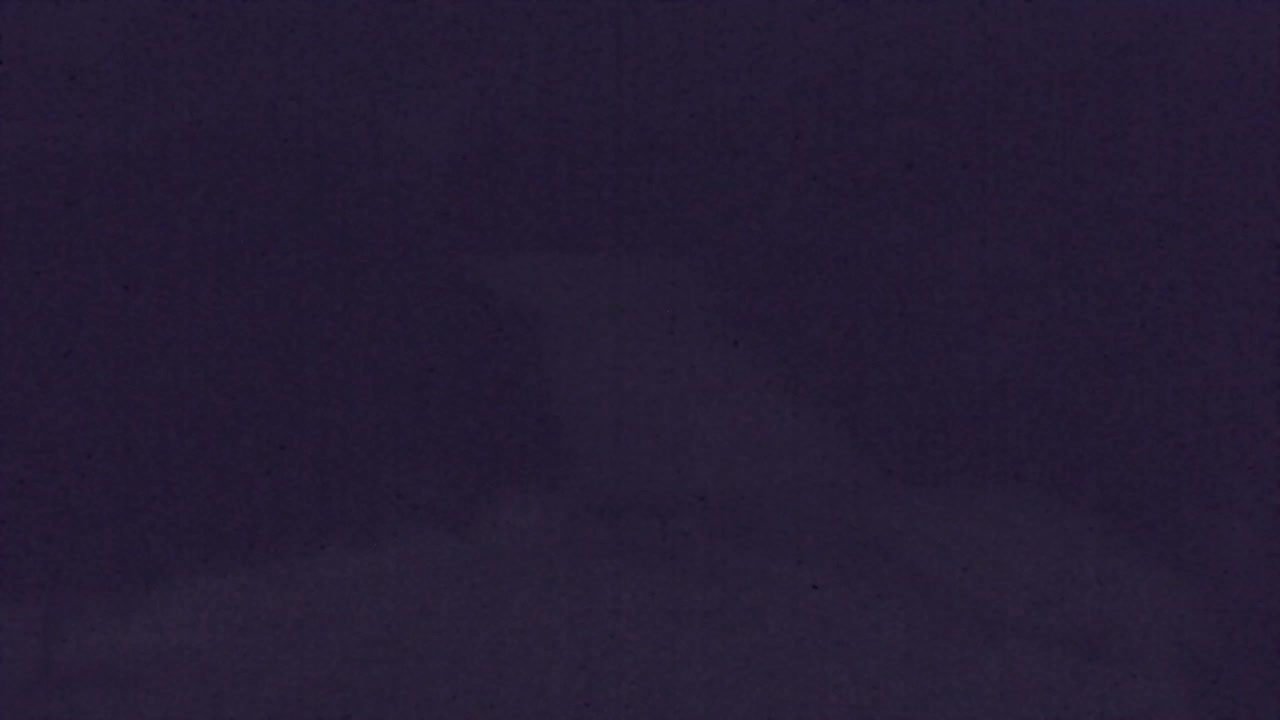 Webcam Loqua / Lokve – La bellezza della selva di Tarnova