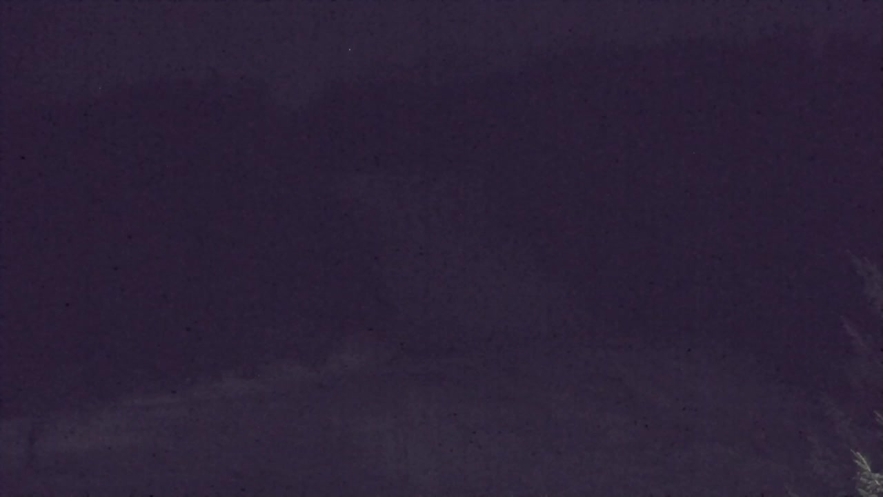 Webcam Lokve – La beauté de la forêt de Trnovo