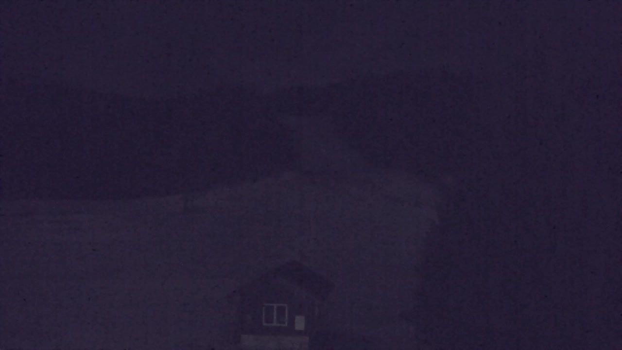 Webcam Lokve – La beauté de la forêt de Trnovo