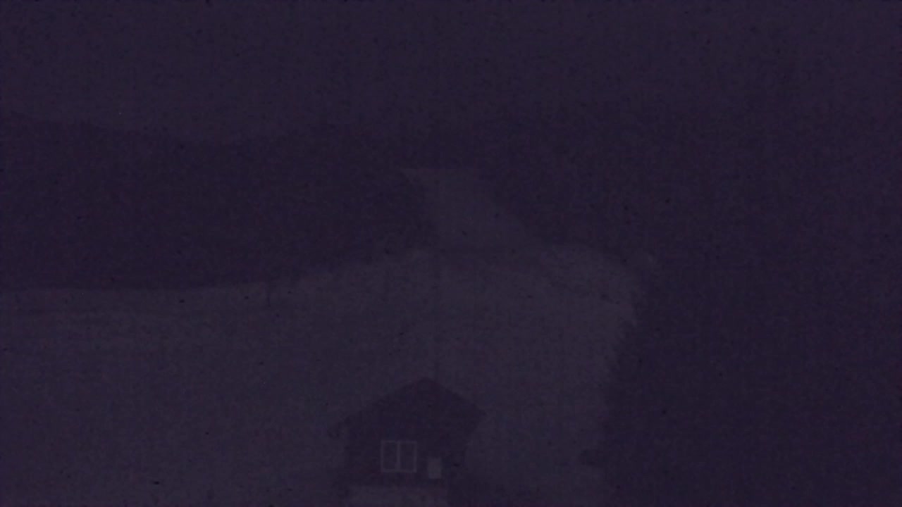 Webcam Lokve – The beauty of the Trnovo forest