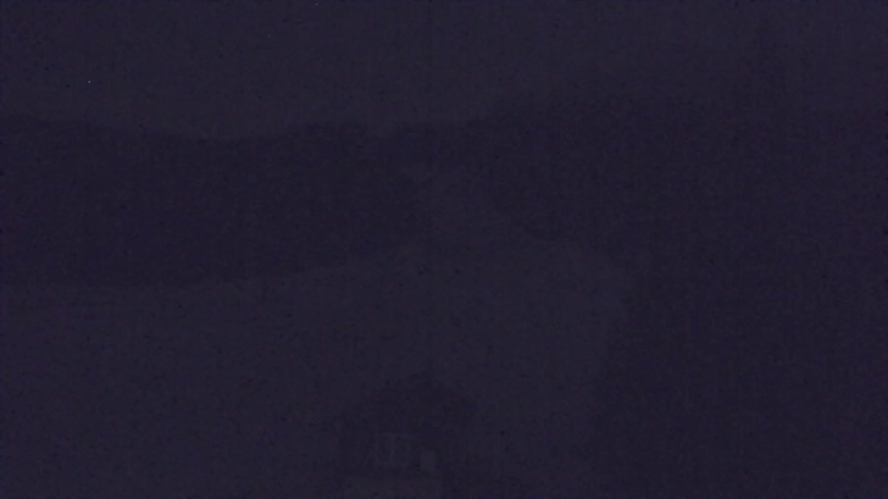 Webcam Lokve – La beauté de la forêt de Trnovo