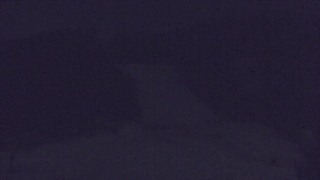 Webcam Lokve – Die Schönheit des Trnovo-Waldes