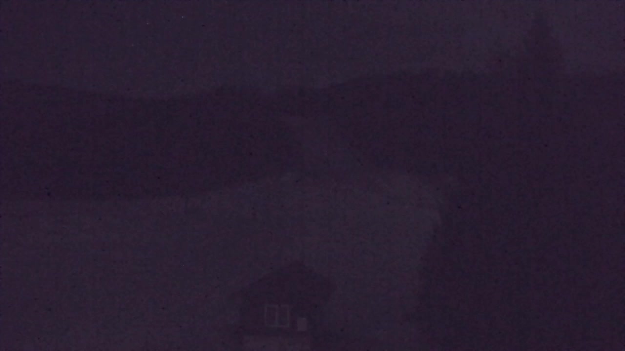 Webcam Lokve – La beauté de la forêt de Trnovo