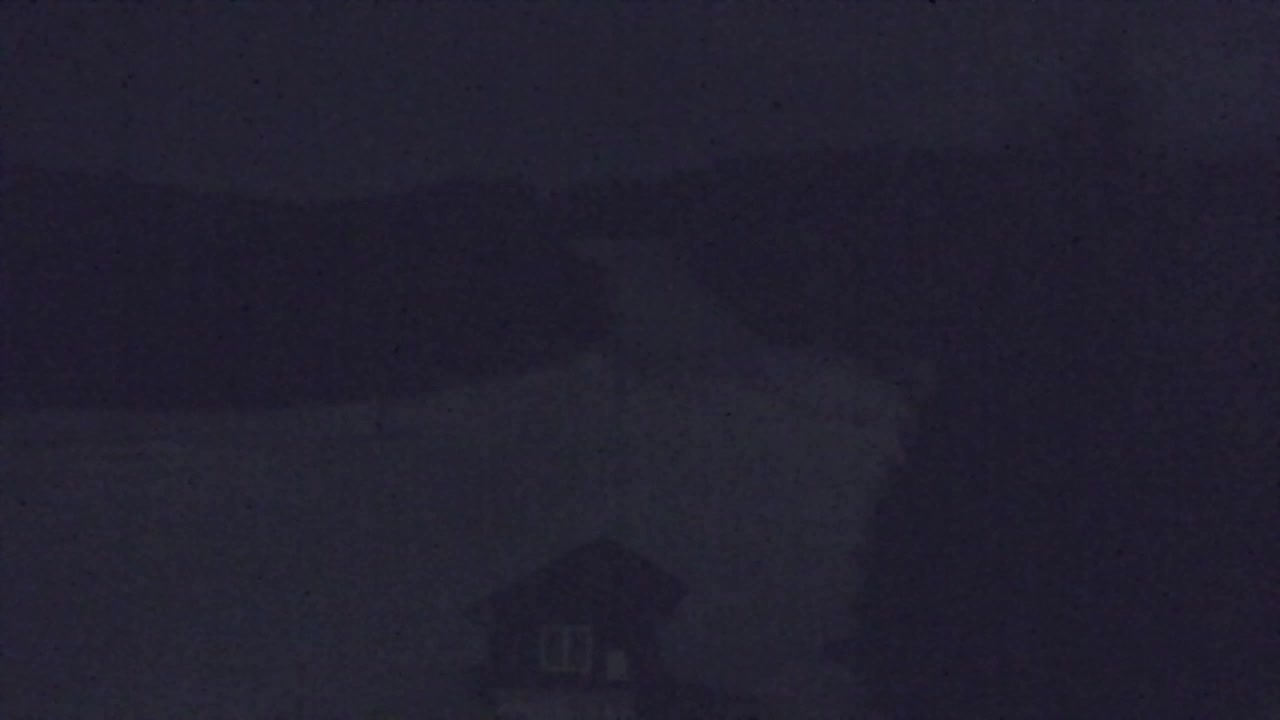 Webcam Lokve – The beauty of the Trnovo forest