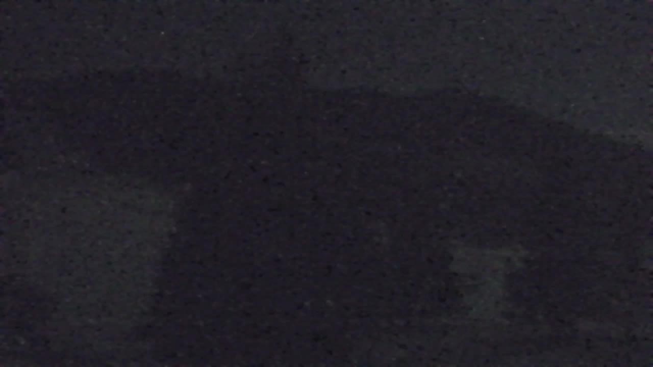 Webcam Lokve – The beauty of the Trnovo forest