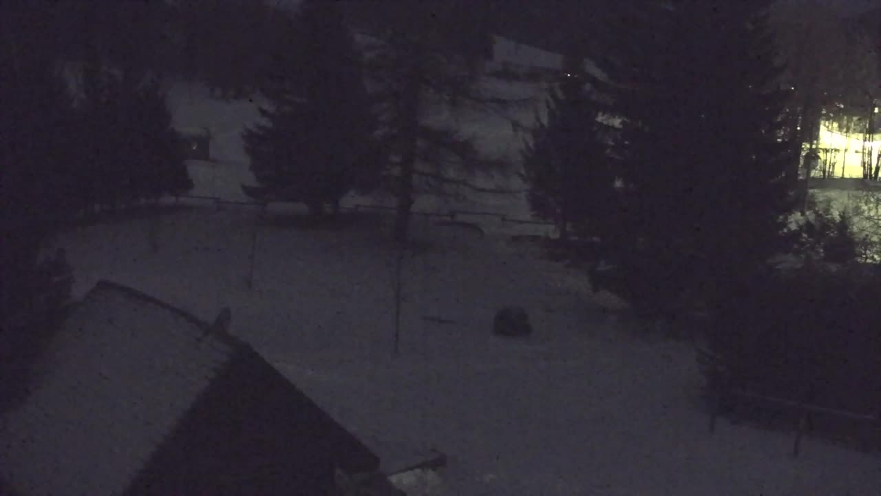 Webcam Lokve – The beauty of the Trnovo forest