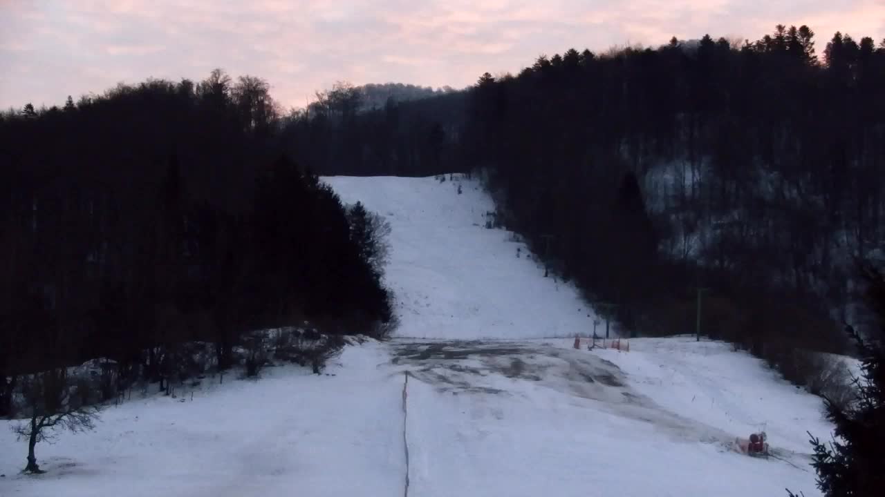 Webcam Loqua / Lokve – La bellezza della selva di Tarnova