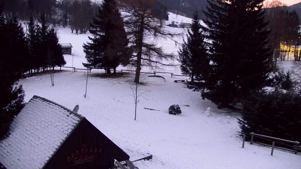 Camera en vivo Lokve – La belleza del bosque de Trnovo