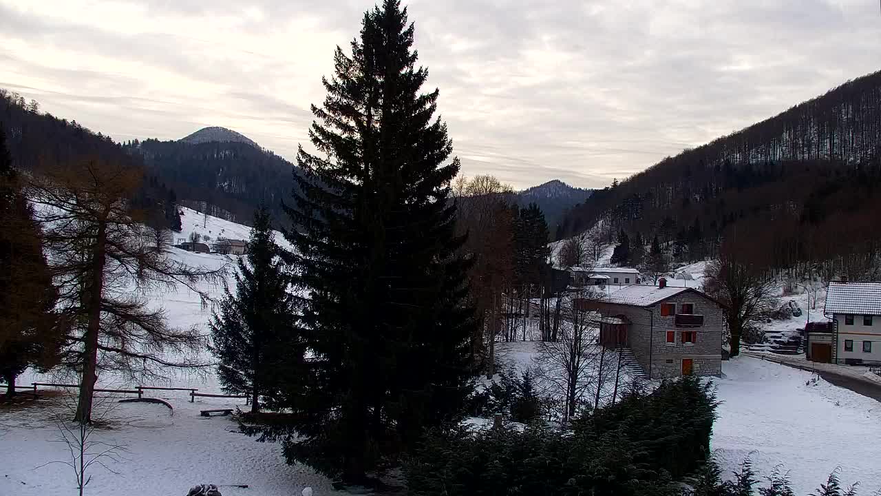 Webcam Lokve – The beauty of the Trnovo forest