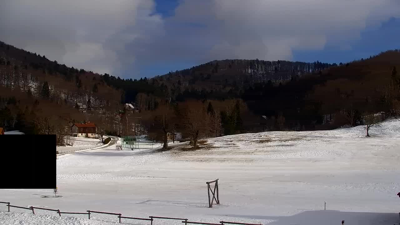 Webcam Loqua / Lokve – La bellezza della selva di Tarnova