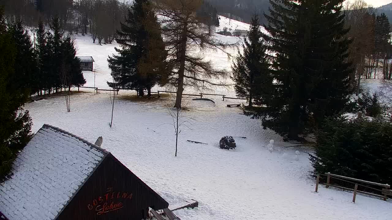 Webcam Loqua / Lokve – La bellezza della selva di Tarnova