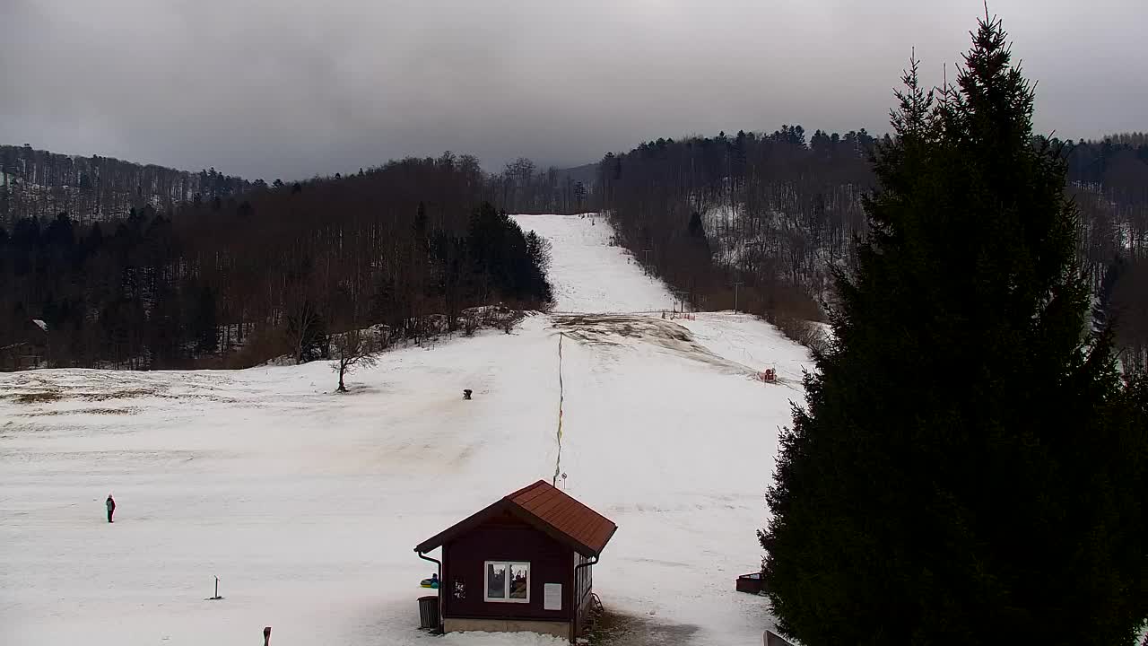 Webcam Loqua / Lokve – La bellezza della selva di Tarnova