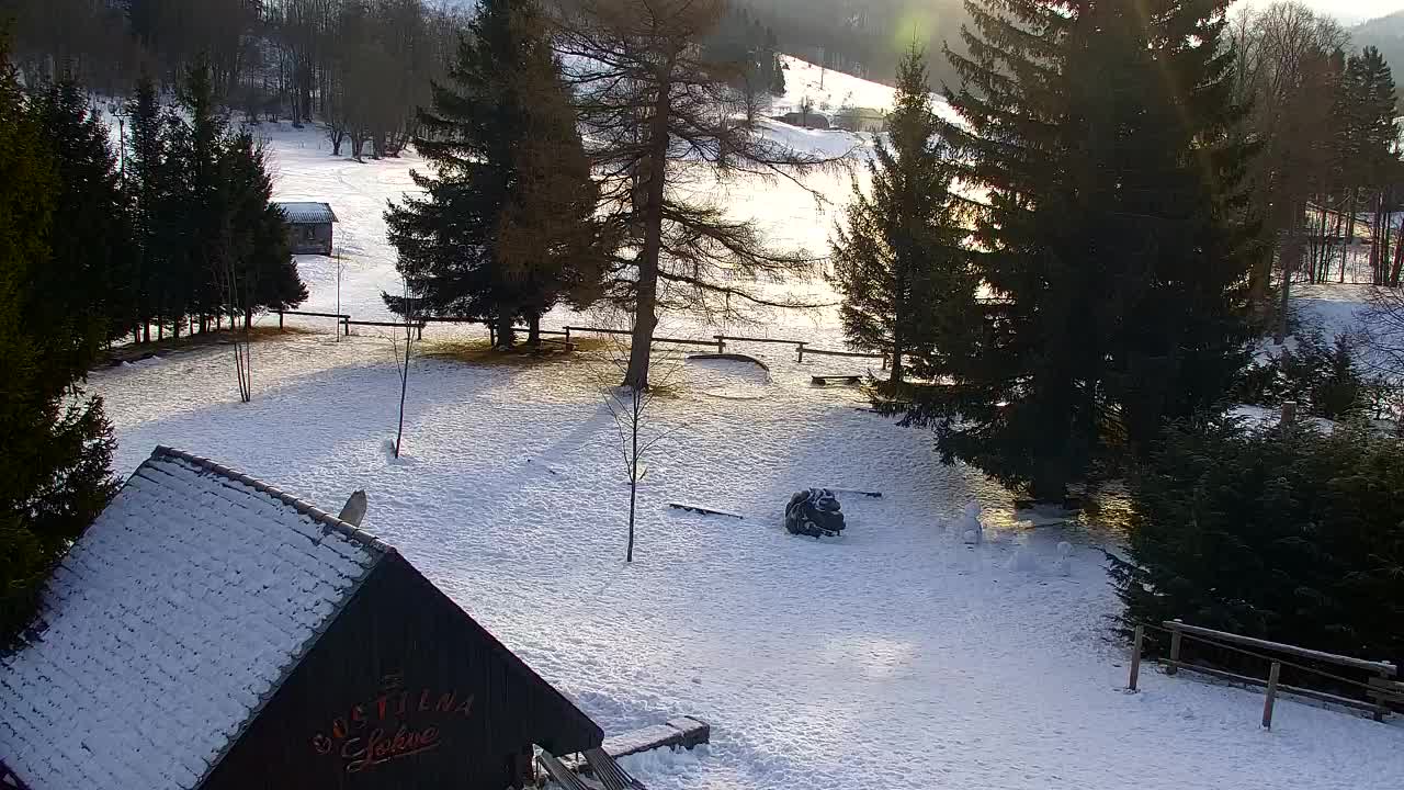 Webcam Lokve – La beauté de la forêt de Trnovo