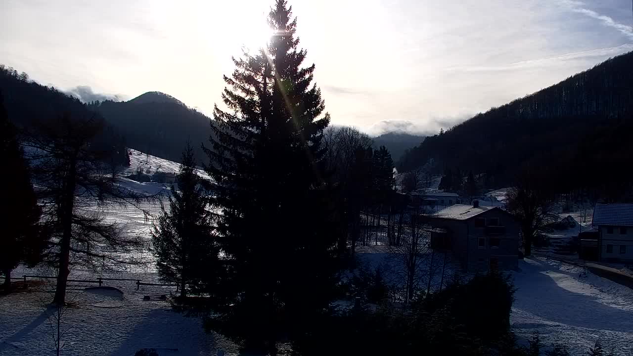 Webcam Loqua / Lokve – La bellezza della selva di Tarnova