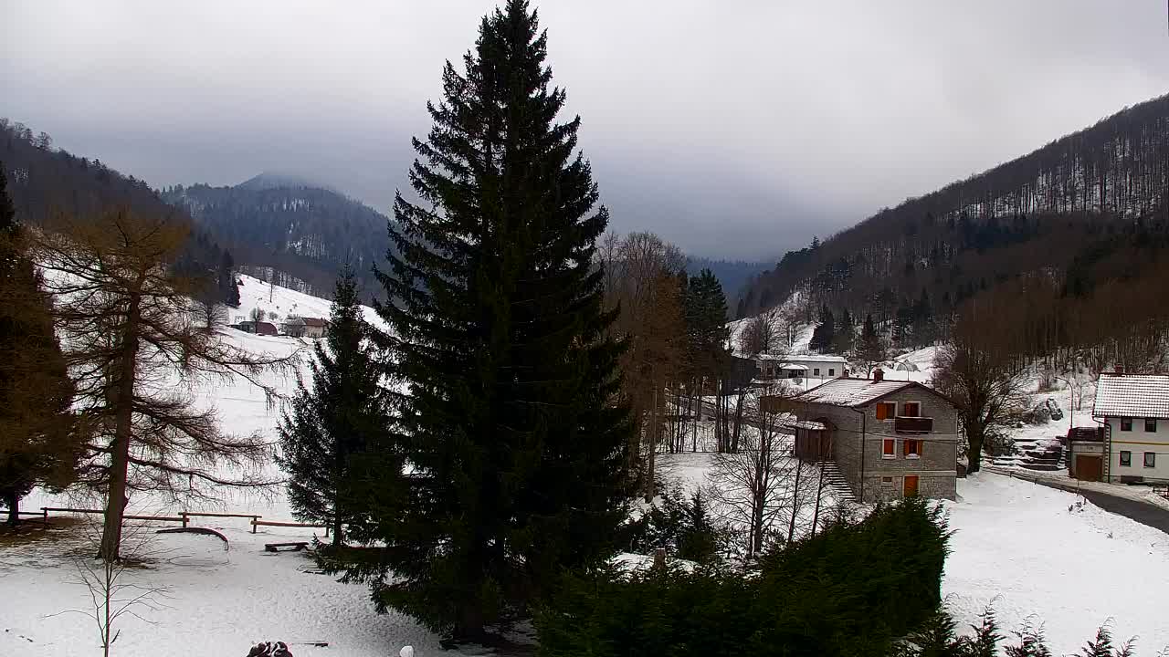 Webcam Lokve – The beauty of the Trnovo forest