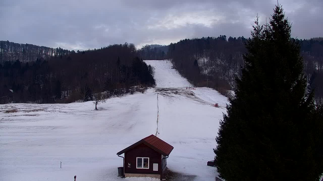 Webcam Lokve – La beauté de la forêt de Trnovo