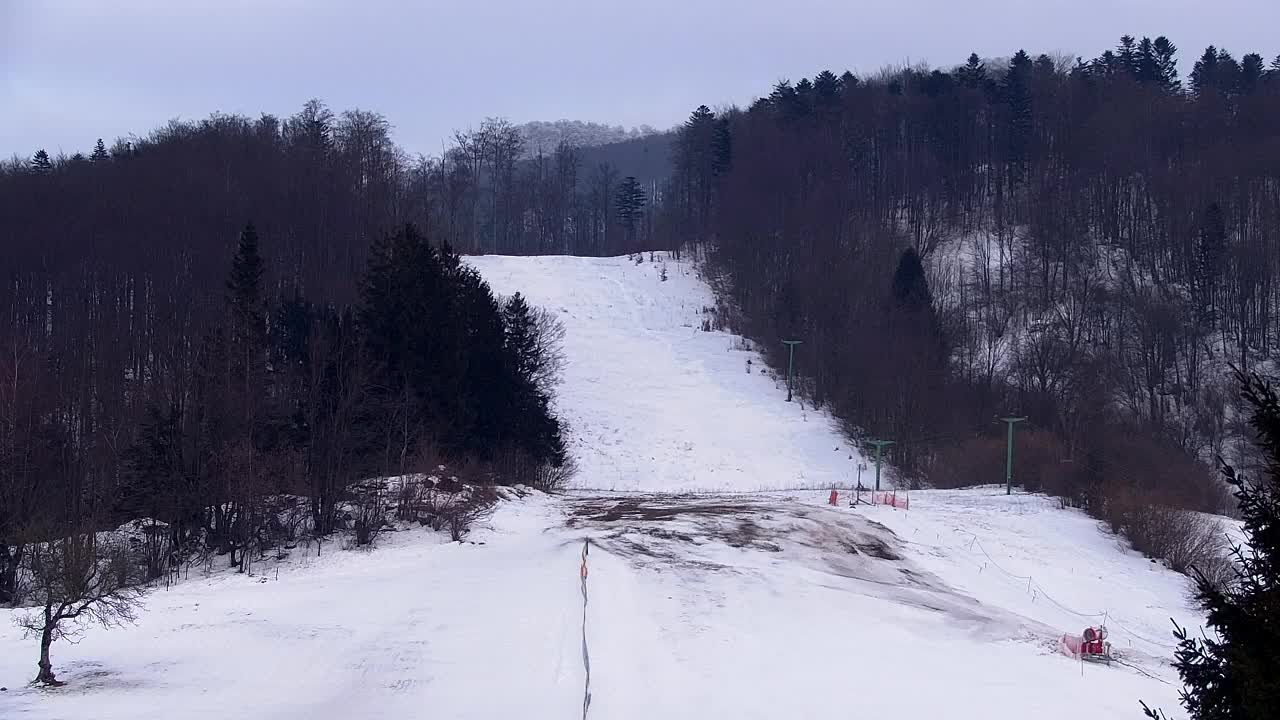 Webcam Lokve – La beauté de la forêt de Trnovo