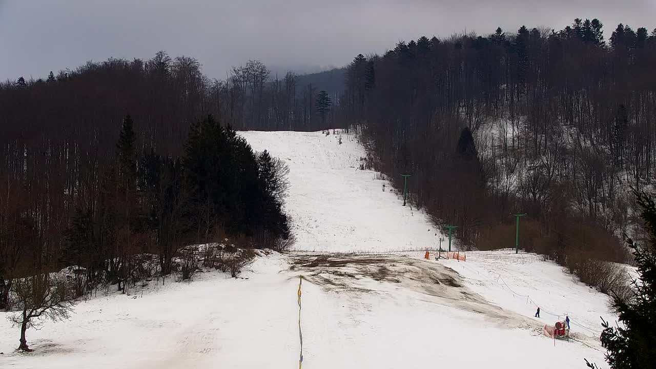 Webcam Loqua / Lokve – La bellezza della selva di Tarnova