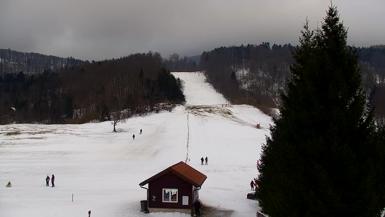 Camera en vivo Lokve – La belleza del bosque de Trnovo