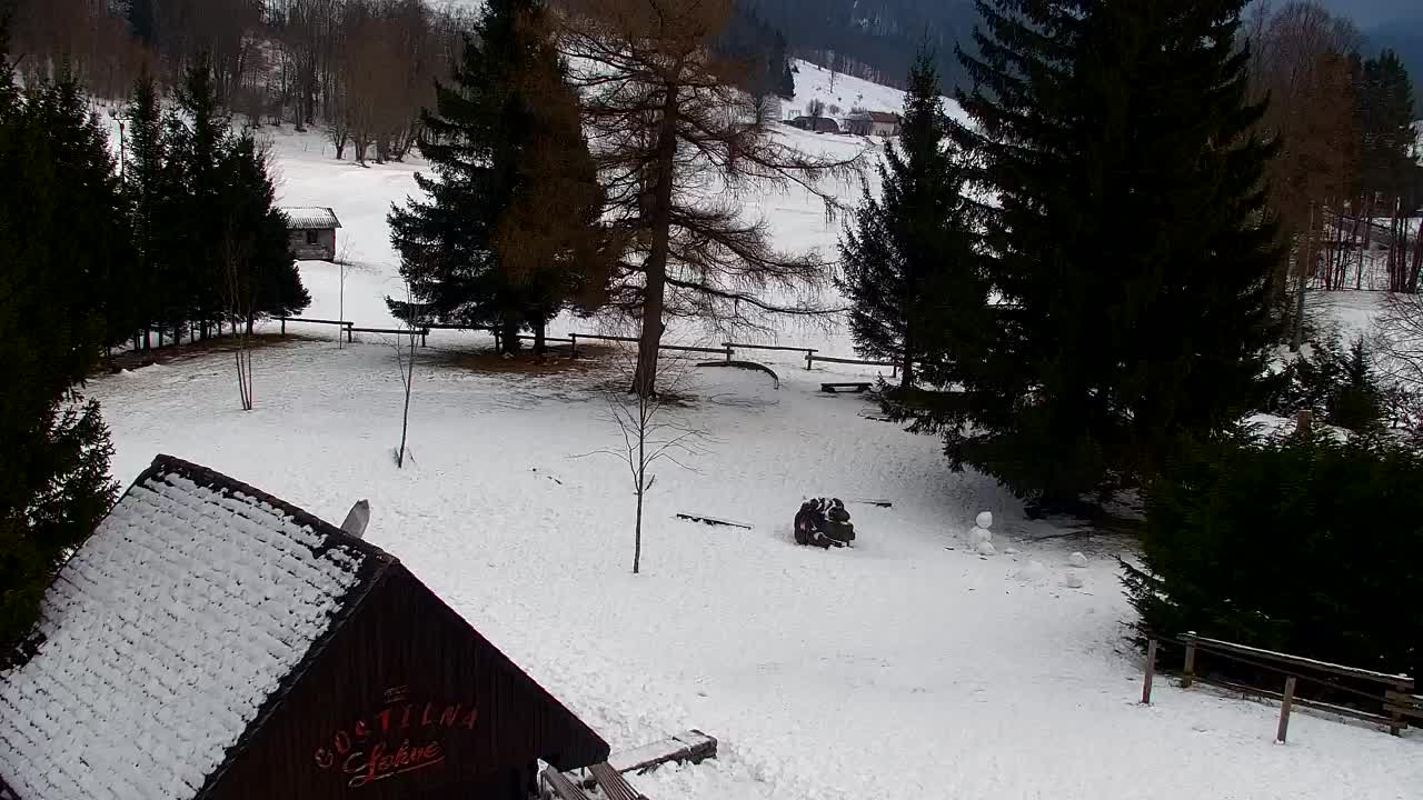 Camera en vivo Lokve – La belleza del bosque de Trnovo