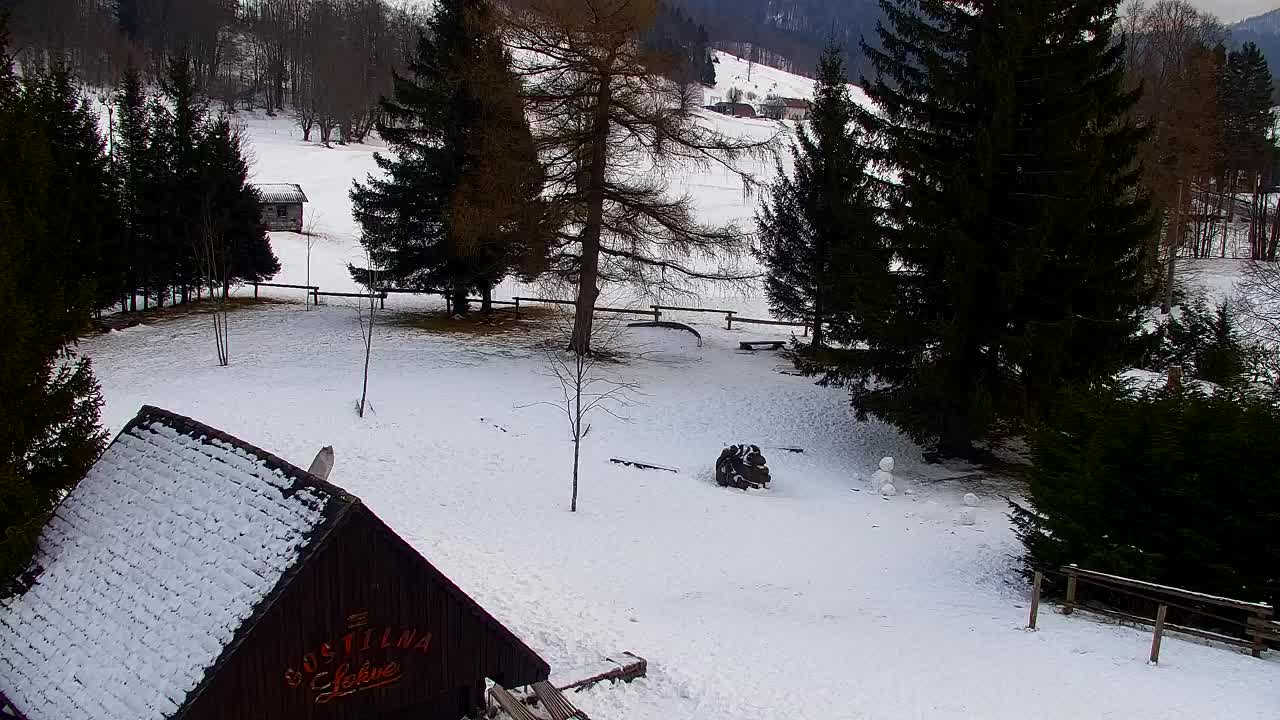 Web kamera Lokve – Ljepota Trnovske šume