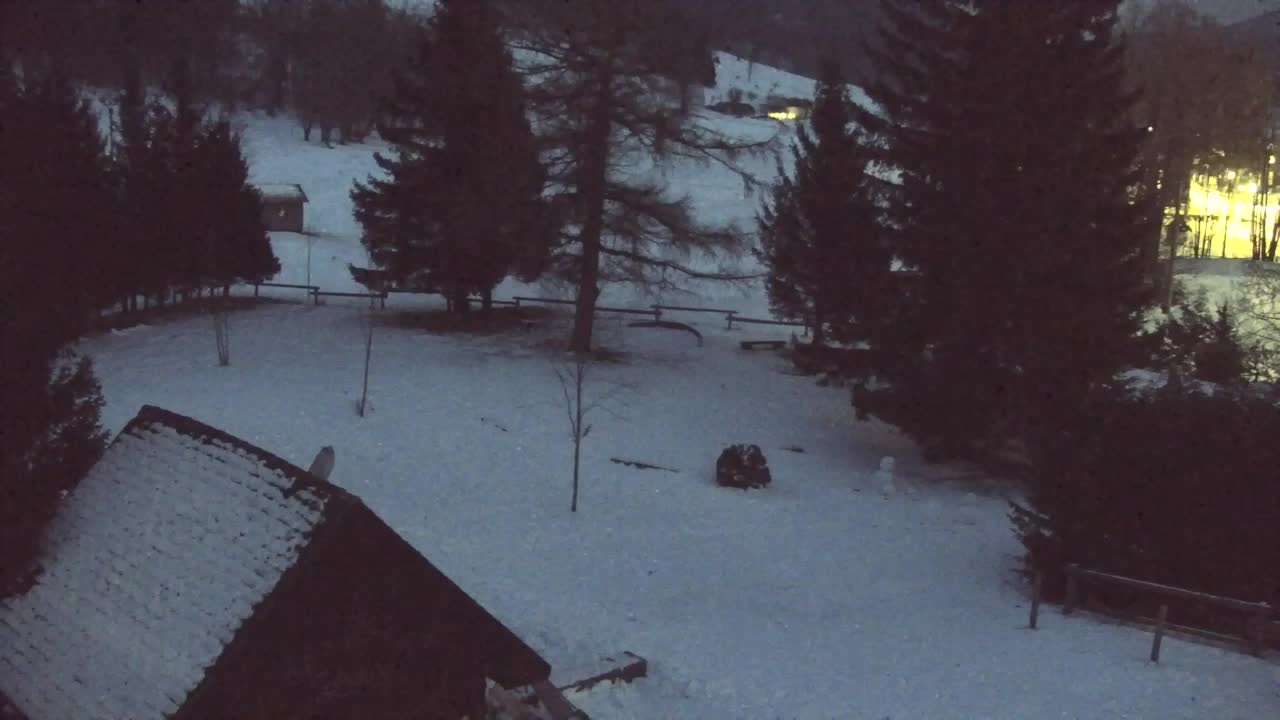 Webcam Lokve – La beauté de la forêt de Trnovo