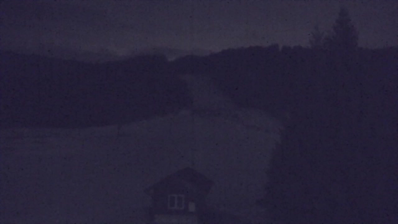 Webcam Lokve – La beauté de la forêt de Trnovo