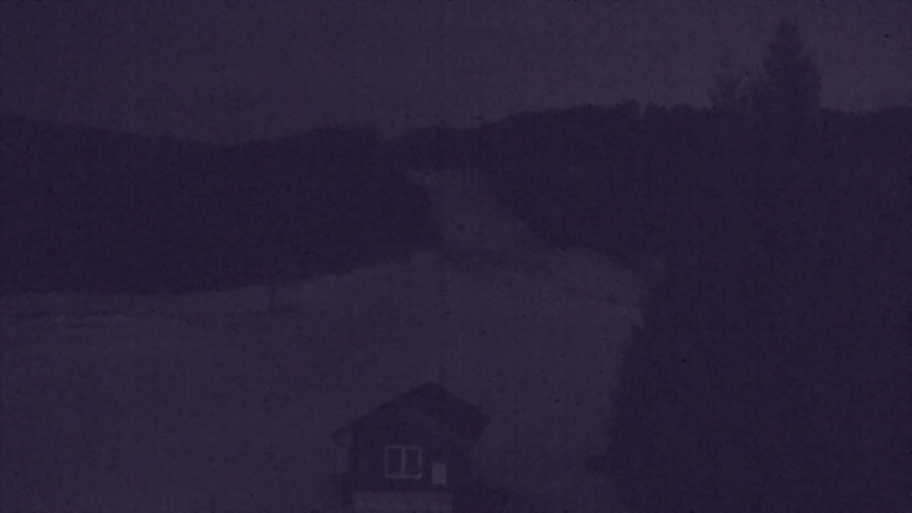 Webcam Lokve – La beauté de la forêt de Trnovo