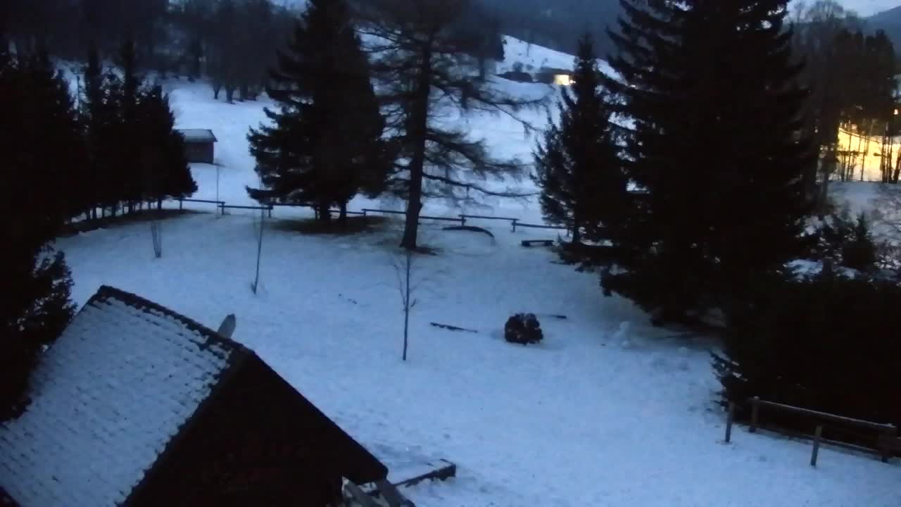 Camera en vivo Lokve – La belleza del bosque de Trnovo