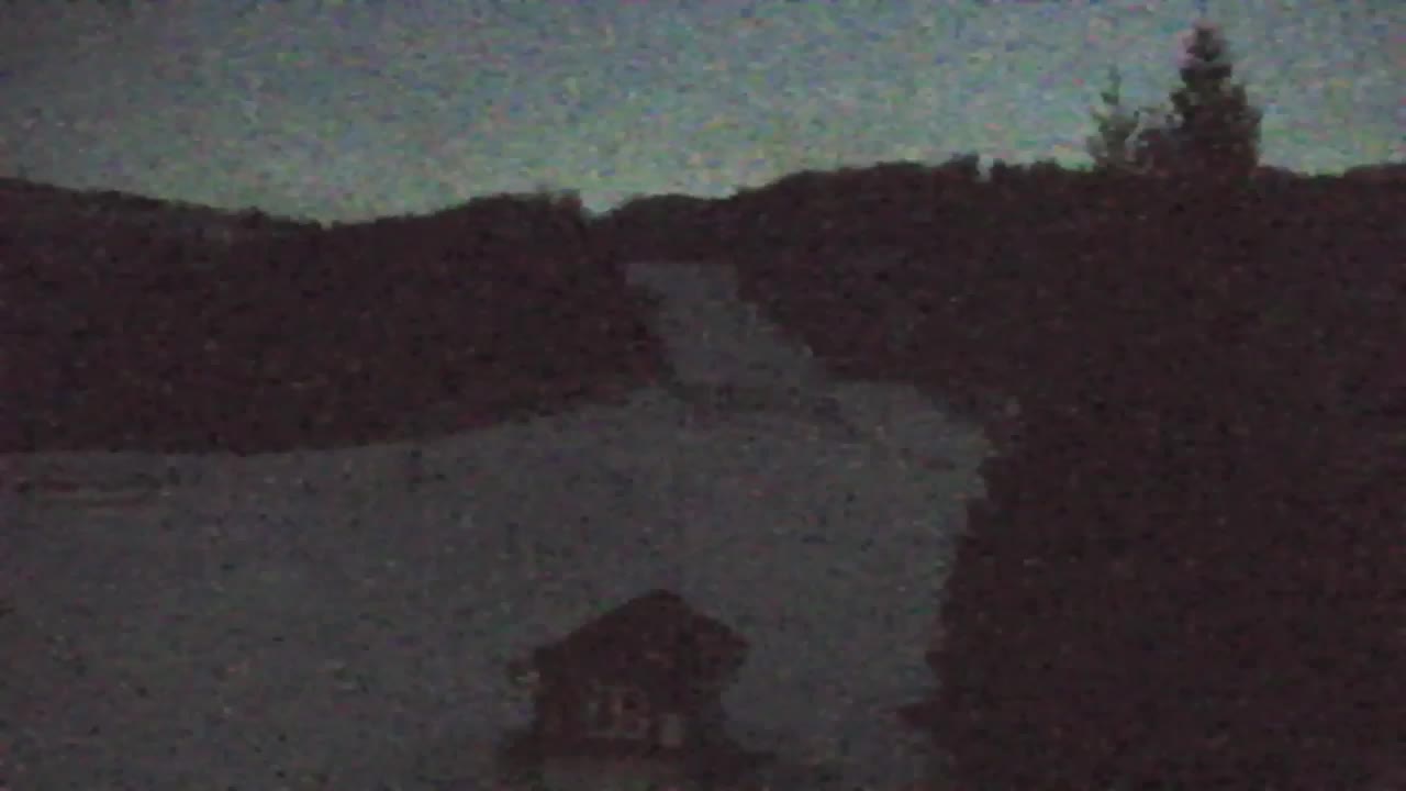 Webcam Loqua / Lokve – La bellezza della selva di Tarnova