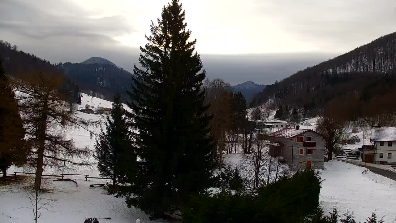 Webcam Lokve – La beauté de la forêt de Trnovo