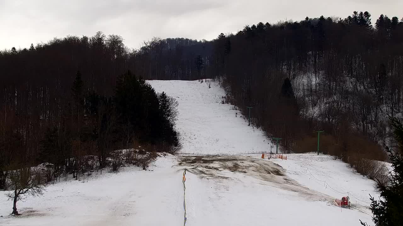 Lokve kamera – Naravne lepote Trnovskega gozda