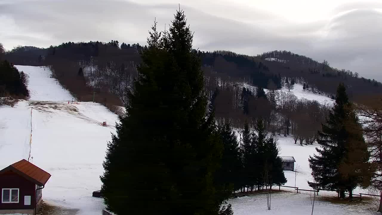 Camera en vivo Lokve – La belleza del bosque de Trnovo