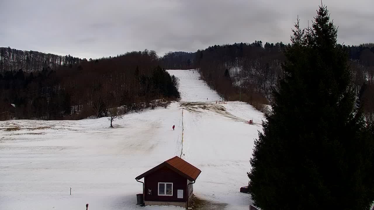 Lokve kamera – Naravne lepote Trnovskega gozda