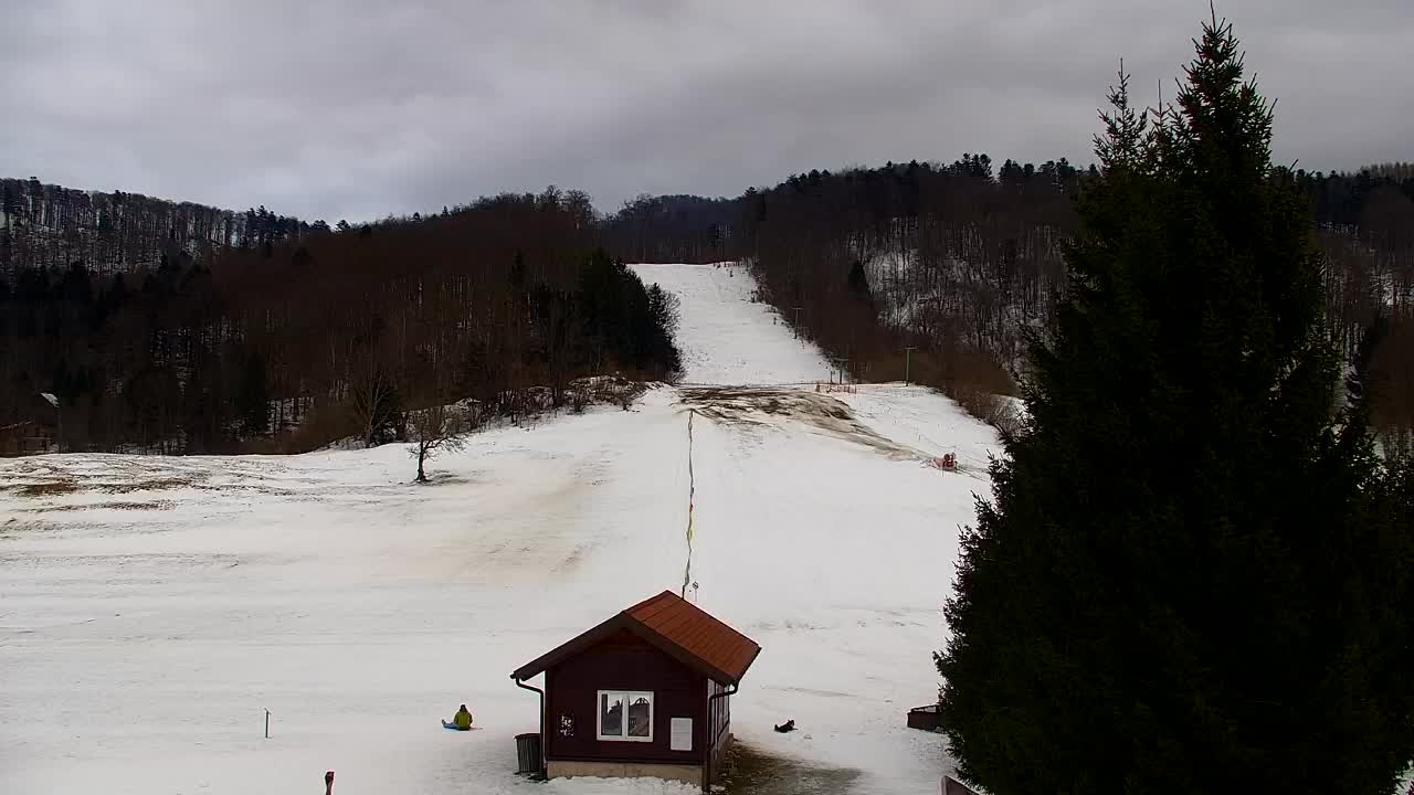 Webcam Loqua / Lokve – La bellezza della selva di Tarnova