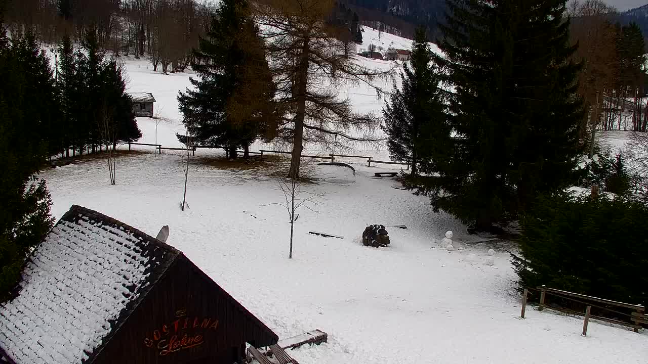 Webcam Lokve – Die Schönheit des Trnovo-Waldes