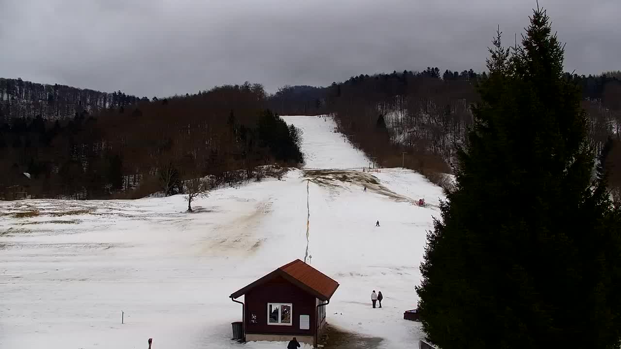 Webcam Loqua / Lokve – La bellezza della selva di Tarnova