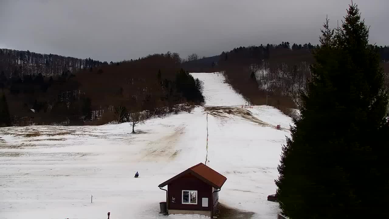 Camera en vivo Lokve – La belleza del bosque de Trnovo